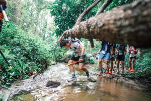 BIB: 
                            <button type="button" onclick="openModal(25372441)" class="btn btn-primary btn-sm float-right btn-popup" data-toggle="modal" data-target=".modal-high-quality">
                        <i class="fas fa-shopping-cart"></i> Add to Cart
                    </button>
                                            <button type="button" onclick="isThisMe(25372441, true)" class="btn btn-success btn-sm float-right btn-popup btn-isme hidden" data-toggle="tooltip" data-placement="bottom" title="นี่คือรูปของคุณใช่ไหม คลิกที่นี่เพื่อเอาเข้าอัลบั้ม">
                        <i class="fas fa-plus"></i> Add to album
                    </button>
                    <button type="button" onclick="isThisMe(25372441, false)" class="btn btn-warning btn-sm float-right btn-popup btn-isnotme hidden">
                        <i class="fas fa-ban"></i> Remove from album
                    </button>